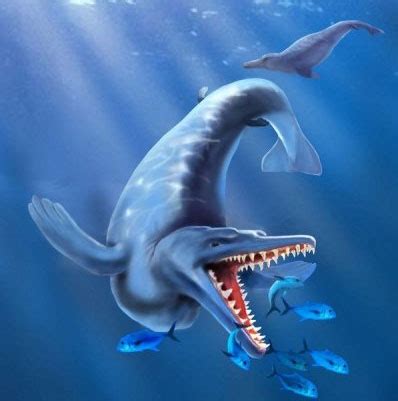 Discover the oldest whale fossil ever