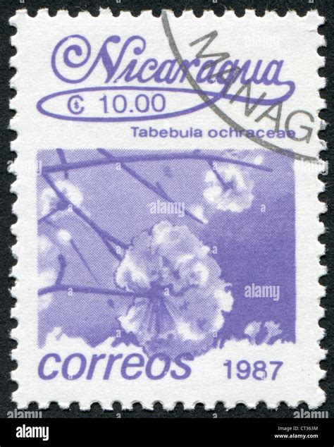 Nicaragua Circa Postage Stamps Printed In Nicaragua Flower