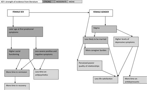 Conceptual Framework Possible Associations Of Female Sex And Female