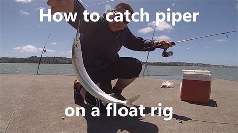 NZ Basic Fishing Tutorial How To Catch Piper Garfish With Float Rig