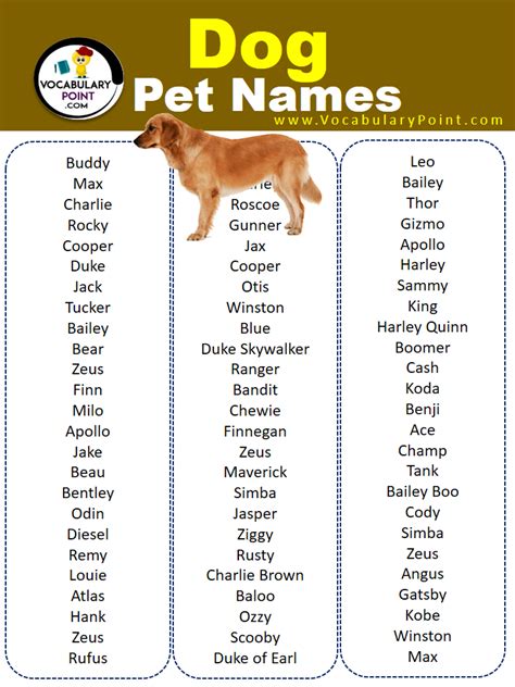 2000+ Most Popular Pet Names (Dog, Cat & Birds) - Vocabulary Point