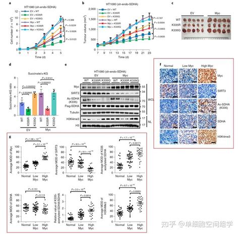 Nature Metab 揭示驱动肿瘤发生的表观遗传调控新机制 知乎