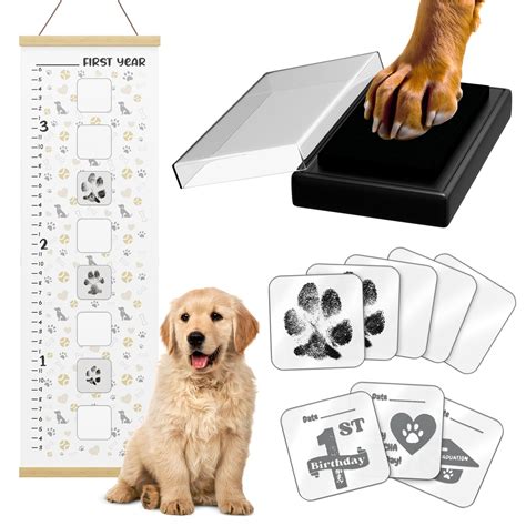 Golden Retriever Growth Chart With Pictures Golden Retriever Neck And