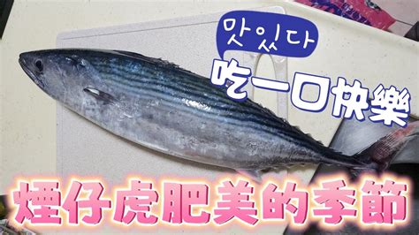 【深海魚煙仔虎】 這個季節最肥美怎麼料理都好吃 生魚片 炙燒 油脂肥美絕頂美味 Youtube