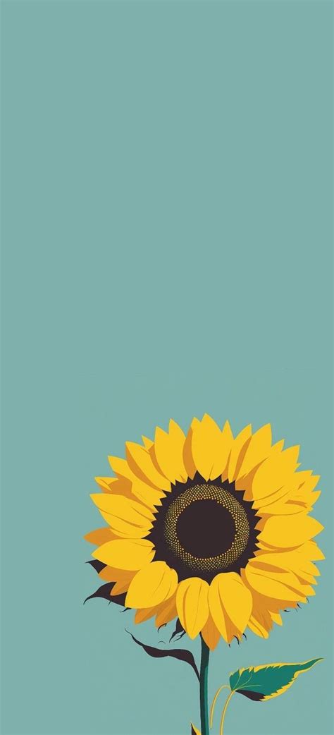 Pin By Jb On Quick Saves Sunflower Wallpaper Pretty Wallpapers