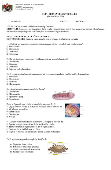 Guia célula PDF Descarga Gratuita