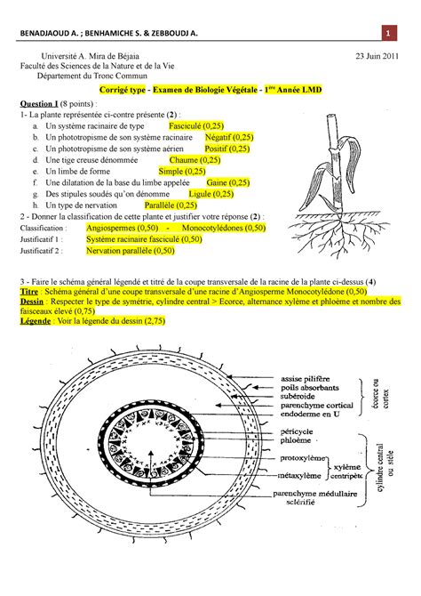 Emd Corrig Examen Benadjaoud A Benhamiche S Zebboudj A