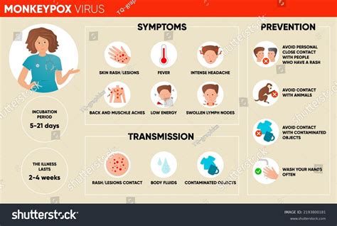 Monkeypox Virus Symptoms Transmission Prevention Infographic Stock