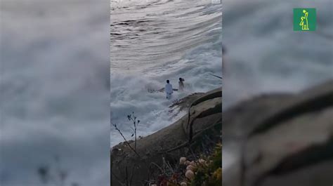 Video Pareja Es Arrastrada Por Las Olas Del Oc Ano Pac Fico Mientras