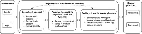 Conceptual Framework For Research On Normative Adolescent Sexuality Download Scientific Diagram