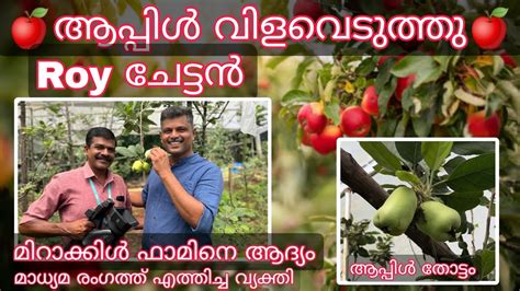 Apple 🍎 Plantation Kerala 😯 🍎ആപ്പിൾ വിളവെടുത്തു🍎roy ചേട്ടൻ Mob 9048505848 Miracle Farm House