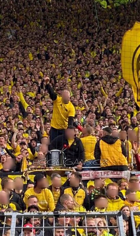 Hooligans Cz Official On Twitter Borussia Dortmund Fc