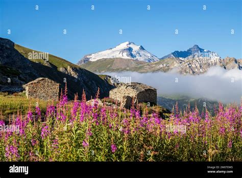 France Savoie haute Tarentaise Réserve naturelle de la Grande Sassi