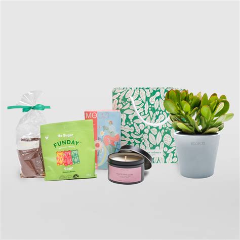 Plants Birthday Gift Jade Plant Gift Natures Colours