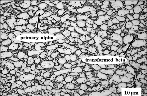 PHASE COMPOSITION AND MICROSTRUCTURE OF Ti-6Al-4V ALLOY, 46% OFF