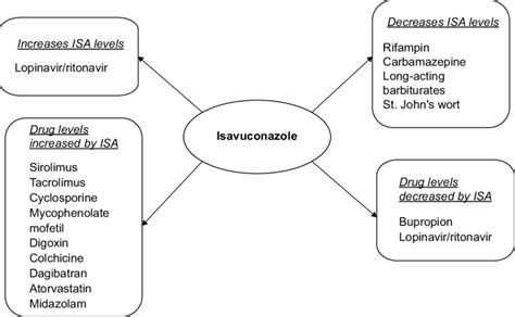 Drug–drug interactions with ISA. Note: Data from Miceli and Kauffman ...