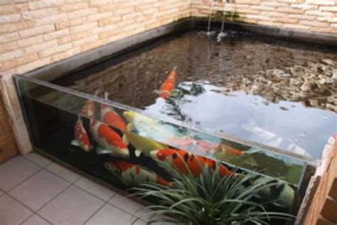 20 Amazing Indoor Koi Pond Ideas | Mountain Tree