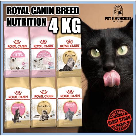 Royal Canin Dry Food Kg British Shorthair Maine Coon Persian Kitten