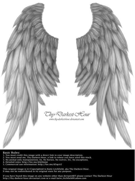 transparent hd angel wings - Clip Art Library