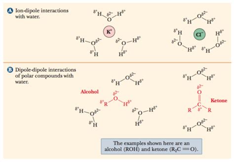 Intermolecular Forces Flashcards Quizlet