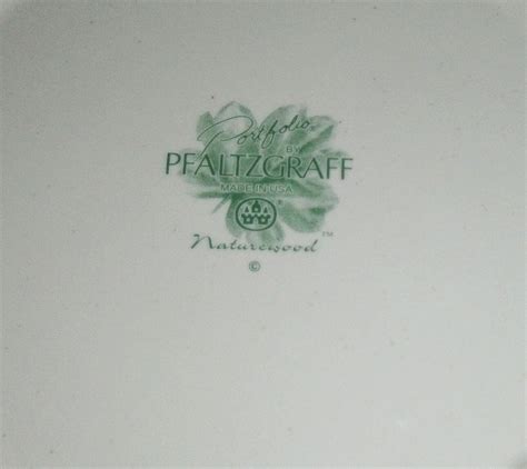 Set Of 2 PFALTZGRAFF Naturewood 11 1 4Dinner Plates Excellent EBay