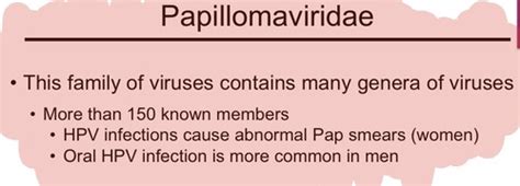 Human Papillomavirus HPV Flashcards Quizlet