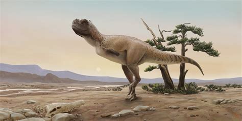 New Dinosaur Species Discovered In Brazil