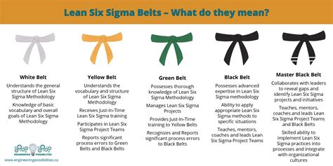 What Are The Belt Levels Of Six Sigma At Jennifer Cobbs Blog