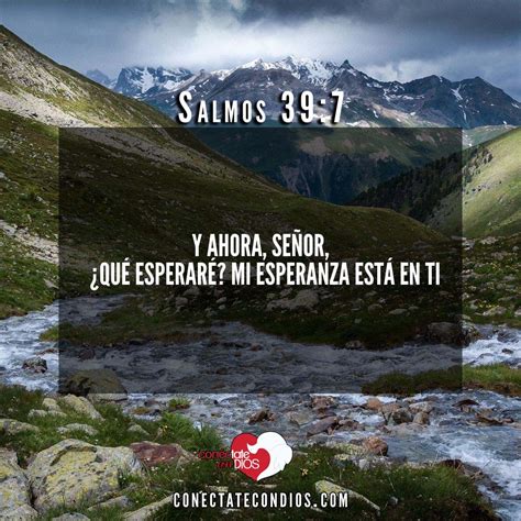 Los 7 Mejores Versículos De Esperar En Dios Conéctate Con Dios