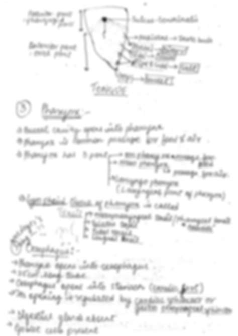 Solution Digestion And Absorption Human Alimentary Canal Studypool