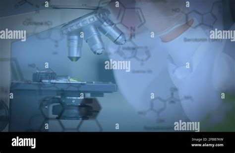 Microscope compound microscope Stock Videos & Footage - HD and 4K Video Clips - Alamy