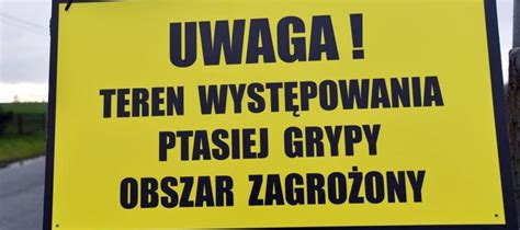 Pierwsze w tym roku w regionie ognisko ptasiej grypy Gazeta Olsztyńska