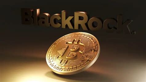 Vaneck Executive Erwartet B In Blackrock Bitcoin Etf Sei Inqubeta