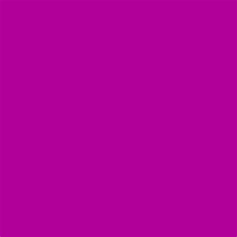 The Beauty Of Magenta Paint Color - Paint Colors