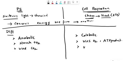 SOLVED: What are the similarities between photosynthesis and cellular respiration? And what ...