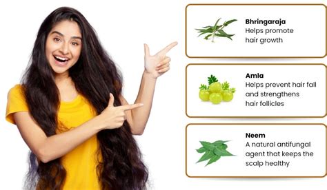 Ayurveda Hair Fall and Growth treatment medicine retailer in India 