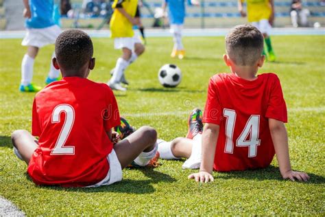 Futebol Bola De Futebol Na Rede Do Objetivo Foto De Stock Imagem De