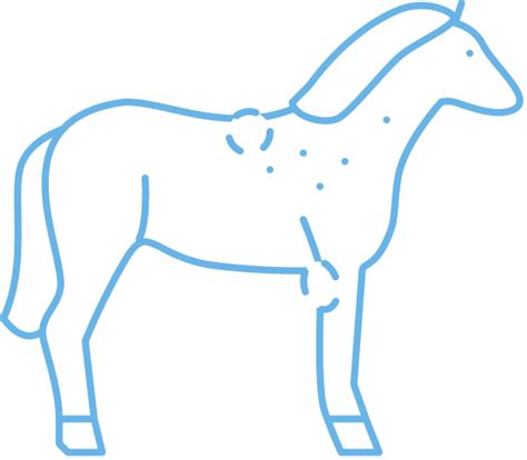 Brucellosis Horse Line Icon Vector Illustration 素材 Canva可画