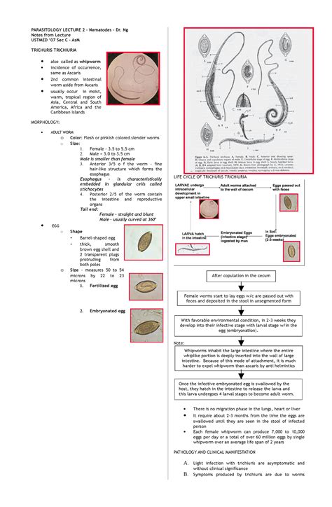 Nematodes Table PARASITOLOGY LECTURE 2 Nematodes Dr Ng Notes