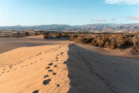 Sand Dunes of Maspalomas Nature Reserve Stock Image - Image of sahara ...