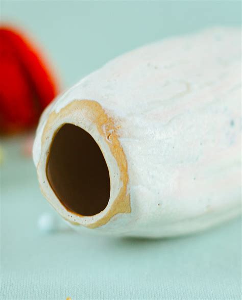 Dildo large endive Mère Michet Godemichets légumes