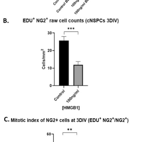 Disulfide Hmgb1 Inhibits Oligodendrocyte Progenitor Cells Proliferation