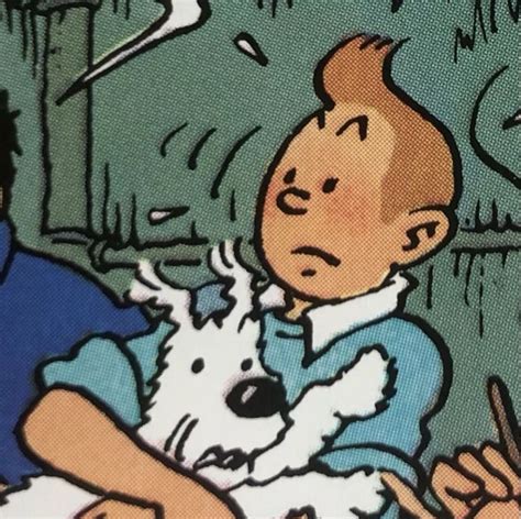 tintin and snowy | Tintin, Vintage comics, Tin tin cartoon