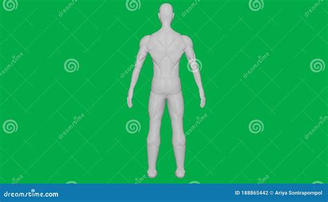 8k 3d Rendered Muscular Anatomical Humanai Mannequin Sculpture Model