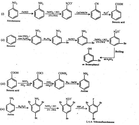 Amines Ncert Solutions Pdf