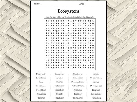 Ecosystem Word Search Puzzle Worksheet Activity Teaching Resources