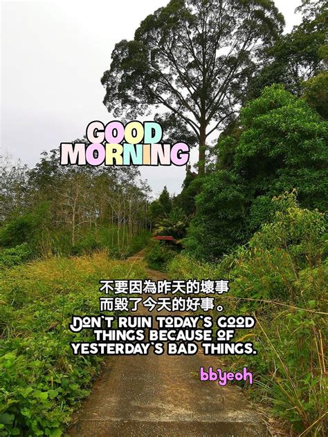 Pin By Boon Beng Yeoh On Good Morning Quote Good Morning Images Good