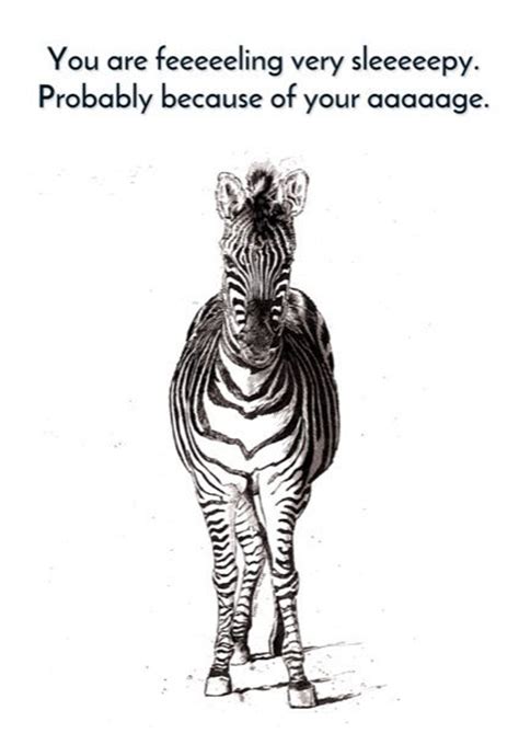 Funny Zebra Card Zebra Birthday Card Happy Birthday Zebra Etsy