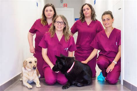 Vet practices host students from Britain’s newest vet school - Vet Help