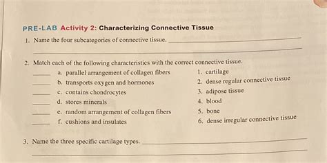 Solved Pre Lab Activity Characterizing Connective Tissue Name